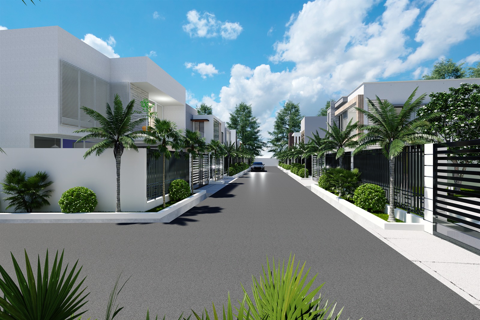 The internal street, looking between two rows of houses, with palms and clipped shrubs in raised beds along both frontages and railings set on low white walls.