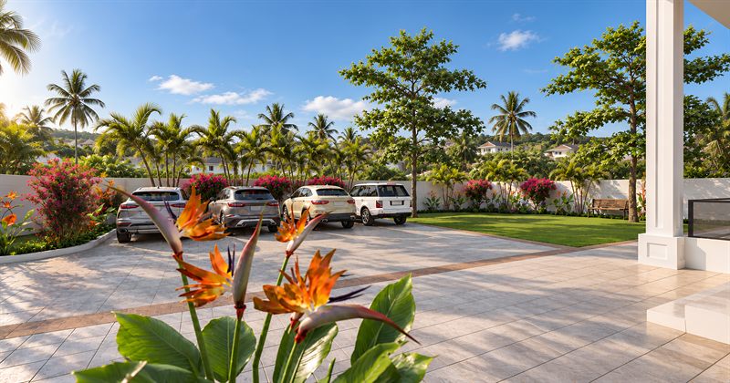 The parking court: cars against a low wall, palms and bougainvillea along the boundary behind them, a large tree at the centre, and bird-of-paradise planting in the foreground.