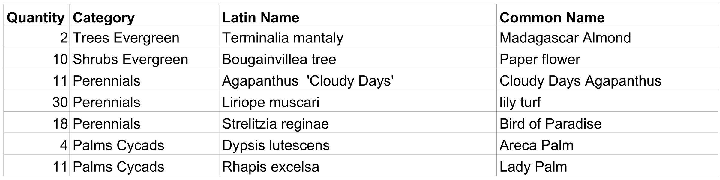 Planting schedule listing quantity, category, Latin name and common name for seven species: Terminalia mantaly, Bougainvillea, Agapanthus Cloudy Days, Liriope muscari, Strelitzia reginae, Dypsis lutescens and Rhapis excelsa.